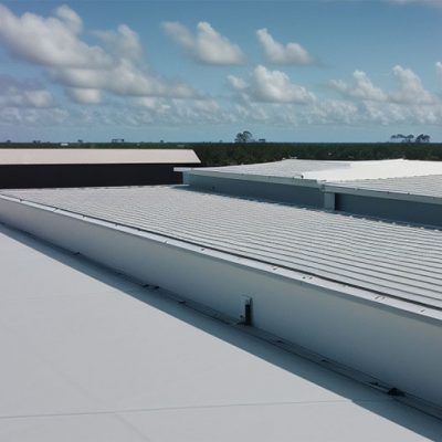 commercial-roof